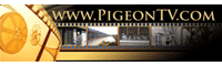 PigeonTV