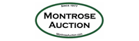 Montrose Auction Inc. (INACTIVE)