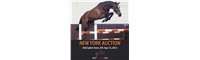 OnlyJumpers Auctions