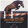 VDL AUCTION