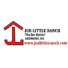 Jud Little Ranch 2014 Horse Sale