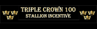 Triple Crown 100 Stallion Auction
