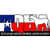 TQHA 2013 BARREL STALLION SERVICE AUCTION 