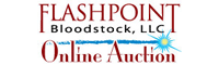 Flashpoint Bloodstock