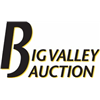 Big Valley Auction