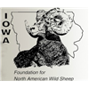 Iowa FNAWS Banquet Auction 2019