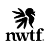 NWTF Firearms Auction II