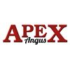2025 Apex Angus