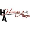 2025 Hinman Angus