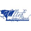2025 Hilltop Angus