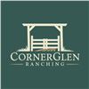 Cornerglen Ranching Bred Heifer Sale - Timed Auction