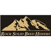 Rock Solid Bred Heifer Sale