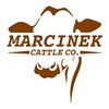 Marcinek Cattle Company Bred Heifer Sale - Timed Auction