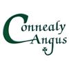 2025 Connealy Angus Fall Bull Sale