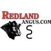 2025 Redland Angus Fall Bull Sale