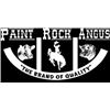 2025 Paint Rock Angus Fall Bull Sale