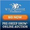 Pre-Convention Online Auction