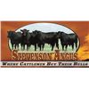 2025 Stevenson Angus Fall Bull Sale