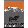 2025 Hollow Top Angus