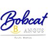 2025 Bobcat Angus