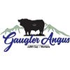 2025 Gaugler Angus Bull Sale