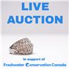 FRESHWATER CONSERVATION BENEFIT AUCTION