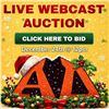 December 19-26 2025 Timed Auction's