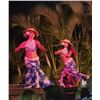 PARADISE COVE LUAU - COSTUMES, RETAIL SHOP CONTENTS, CAMERAS, ELECTRONICS, EQUIPMENT