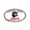 2026 Currant Creek Angus 