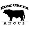 Edie Creek Angus 19th Annual Bull Sale