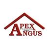 2026 Apex Angus