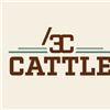 2026 3C Cattle LLC