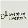 2026 Laverdure Livestock