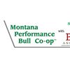 Montana Performance Bull Co-op with Basin Angus Ranch