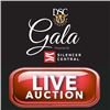 DSC Foundation 2026 Gala