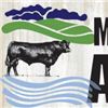 2026 Milk River Angus Sale