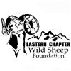 Eastern Chapter Wild Sheep Foundation Auction