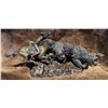 Red, White & Buffalo Memorial Day Sale