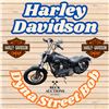 Harley Davidson 2015 Dyna street bob 