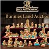 Bunnies Land-In House
