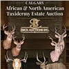 CALGARY African & North American Taxidermy Estate Auction