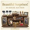 Beautiful Surprises- In House
