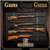 guns guns guns VALID PAL REQ 