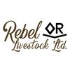 Rebel Livestock Select Bred Female Sale