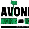CONSIGNMENT AUCTION