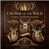Crown of the Wild – Luxury Taxidermy Auction - In House