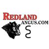 2026 Redland Angus Fall Bull Sale