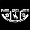 2026 Paint Rock Angus Fall Bull Sale