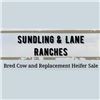 2026 Sundling & Lane Ranch Female Sale