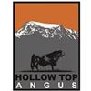 2026 Hollow Top Angus